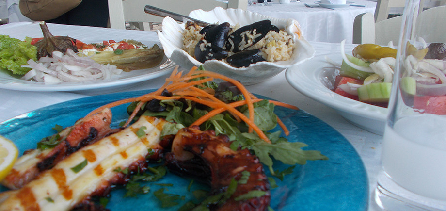 Marina Tavern Chalkidiki