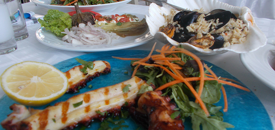 Marina Tavern Chalkidiki